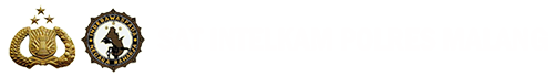 SKCK Online